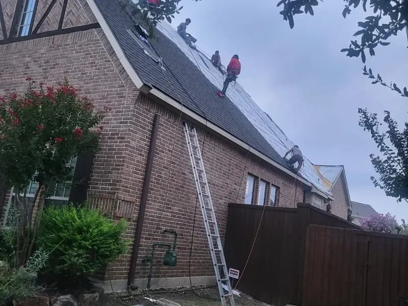 20250129 WA0019 59633412547458