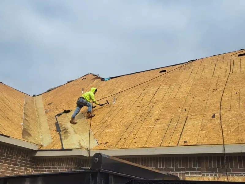 20250129 WA0020 64027474795729